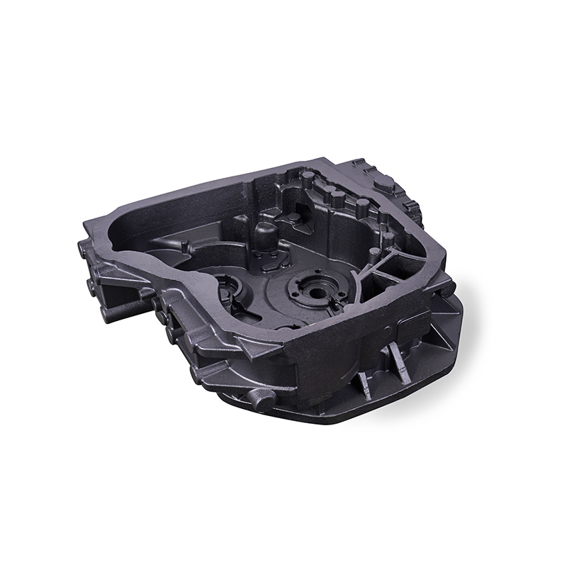 Alloggiamento anteriore in ghisa grigia